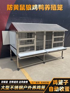 ��ţ���P��u�\���������B�u���a�Bֳ�\����������S�����B�u�\