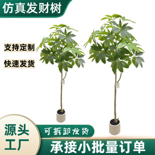 ����Gֲ�lؔ��٘�ֲ�������҃ȴ��~������b[��������~��