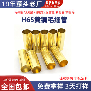 H65�����S�~ë�����~�ܿ��ĈA�ܸ߾�������x���x����������и�