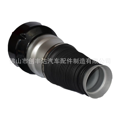 damping system 2213200438 W221