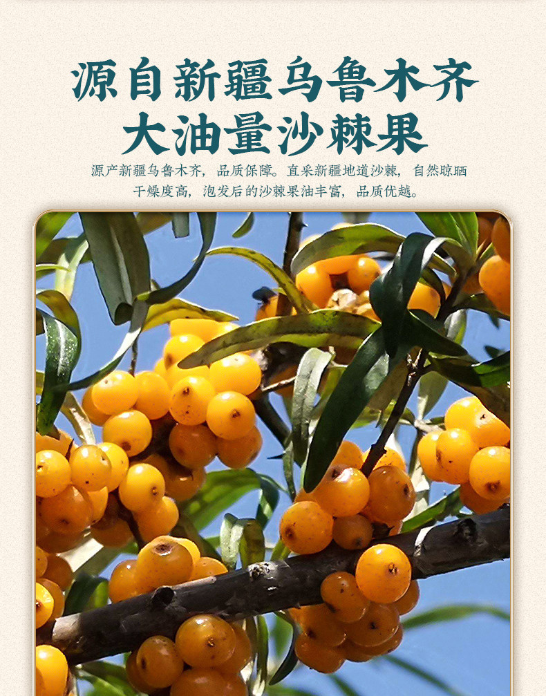 Sea Buckthorn Fruit Sha Ji 250g Dried Berries with Red Date Slices for Tea and Infusions quality and texture