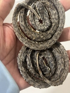 �Bֳ�������l���߸� ������ �ߴ��� �����w ���߰��]�������I��