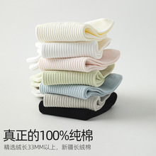 �����ֹ��o�Ǽ����m���½��L�q���p��͸���mCHAO���W���U�ն�Ͳ�m