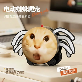 惯性回力玩具;金属工艺品;戏水玩具