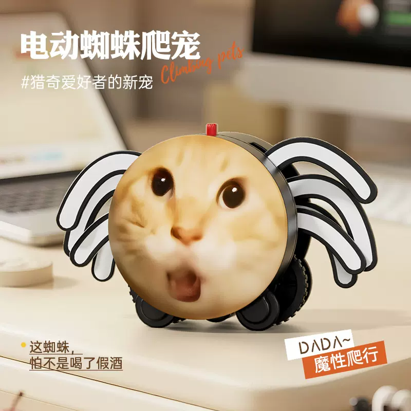 抖音爆款耄耋蜘蛛猫咪圆头哈基米创意潮玩机器人网红爬行电动玩具
