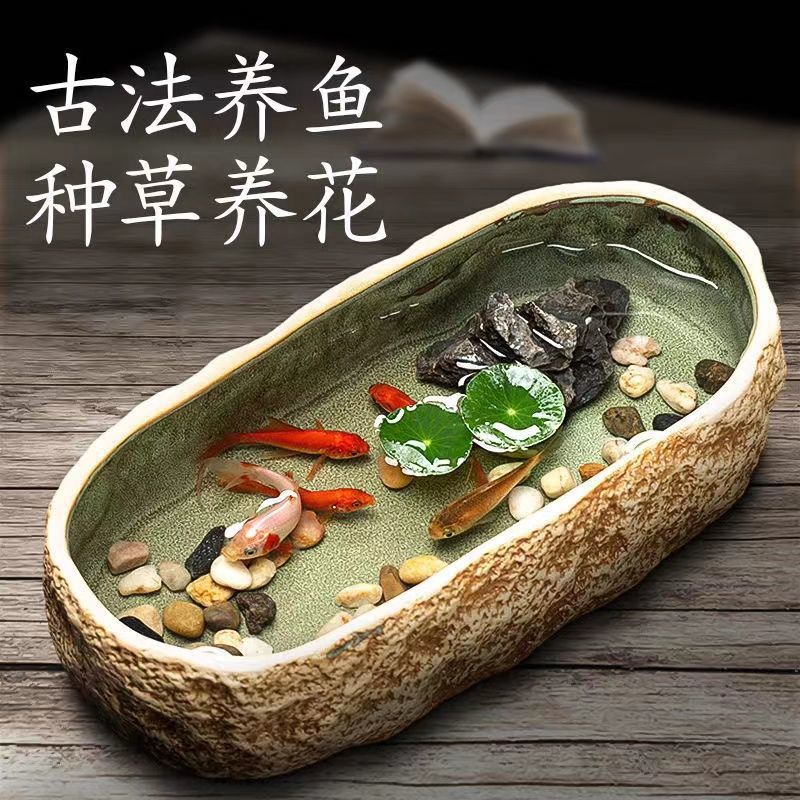 批发陶瓷养鱼缸家用碗莲水培池阳台生态造景盆创意桌面装饰小型乌