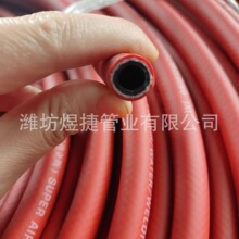 �S�����z�ɾ��� �߉��pɫ������Ȳ�� ���麸���и��L�ڻ𘌚�ù�