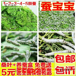 �Q�����W���B�Qɣ�~���r�Q�r����ֱ�l���b1�g234�gС���Q�Q