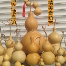 ����Ȼ���^�����J���J�[���͏d�����Ї��Y�Ҿ��Lˮ����ؔ���J���