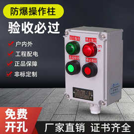 防爆防腐操作柱控制箱远程就地控制按钮箱防尘配电箱BZC
