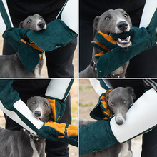 ���ƄP������˺ҧţƤ���� Ӗ�������ιʳ��ҧ���Ӻ��L������