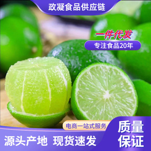 ��ϣ��o�љ���5�ﱡƤ̩��С�����̲��GƤ��ˮ��������]9