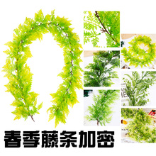 ����Gֲ�����Gɫ�����ٗl�羳�Ҿә����b���������洺���ٗl