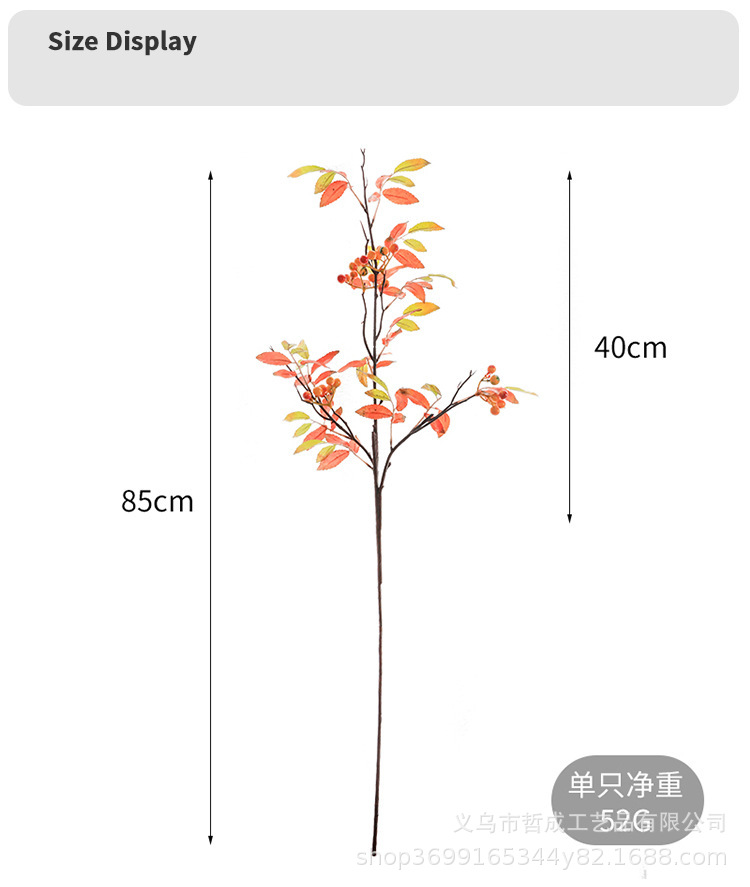 O1CN010NFbxs1Fz9Gqawvb7_!!9481