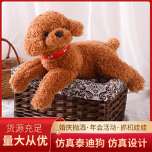 �羳�ɐ۷���̩�Ϲ��а�����ż˯�XС��ë�q�������ϵ���նY��