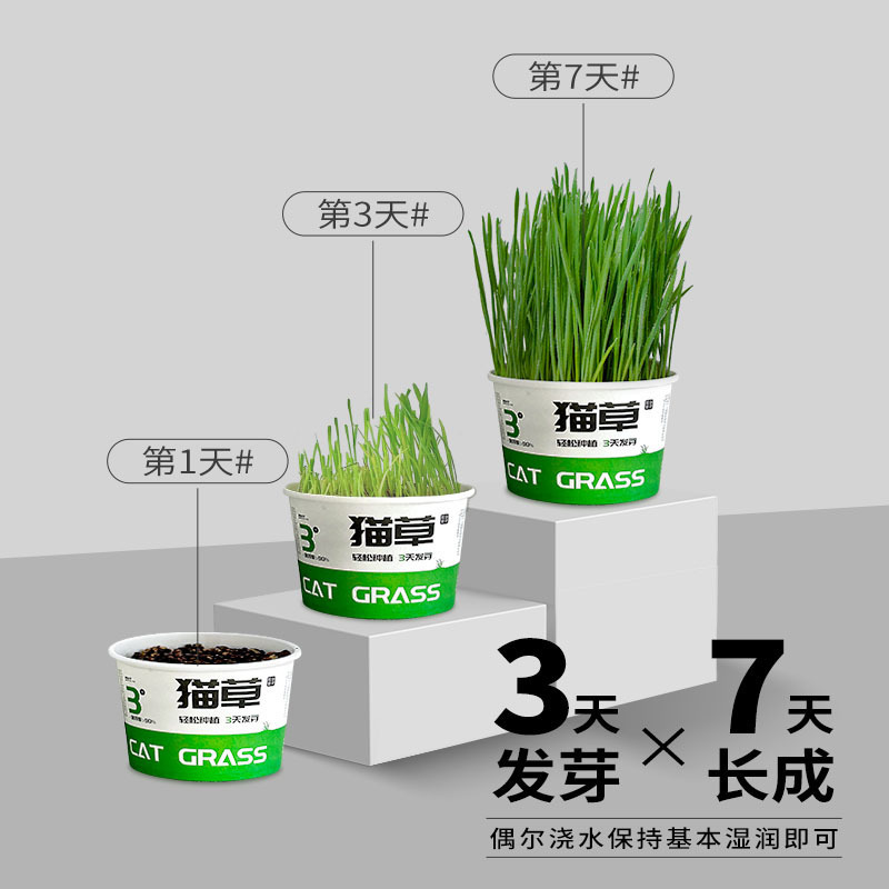 怠惰な猫草缶詰ペット猫草水耕栽培無土壌脱毛ボール消化を助ける脱毛スナックインスタントラーメンペット鉢植え|undefined