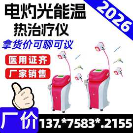 电灼光治疗仪(WM-CT型)生产厂家-可尔-江苏新玛-妇科治疗设备2661