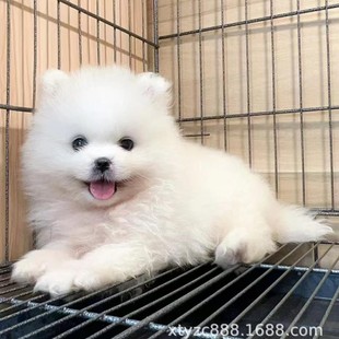 ���ۼ��N����Ȯ���w���β������B��Ȯ�����RȮ�豭Ȯ�������ﹷ