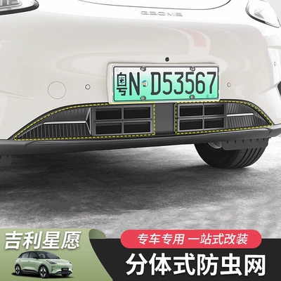 Automobile anti-insect net: protective trim, for the Explorer