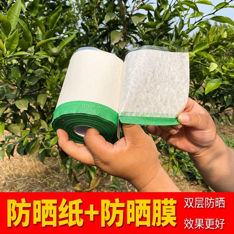 微信图片_20250603155747