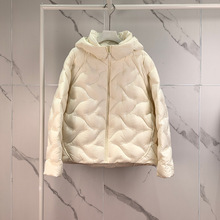 2025¿Ůbe90qůBñq1GA280221