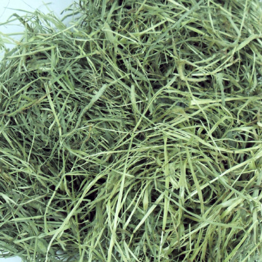 0.5kg Gross Weight Free Shipping 2024 New Grass Timothy Grass Rabbit Hay Short Grass Shredded Guinea Pig Pasture Chinchilla Food