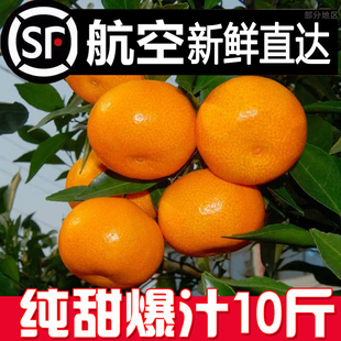 �����R��ӿȪ�۽�����10�����r�������㽭̨���S�ҽ���ˮ��