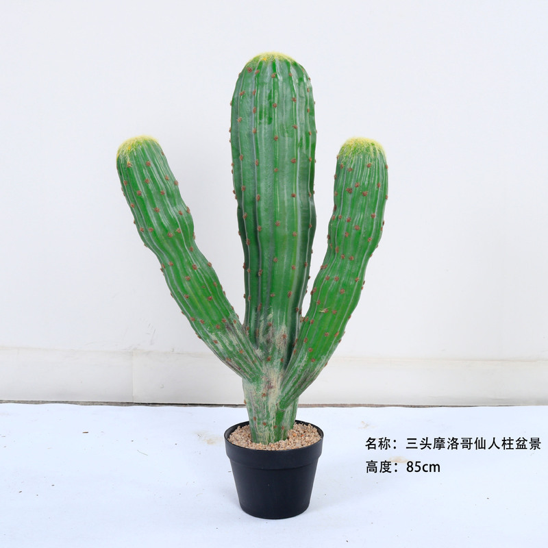 仿真龙神柱仙人掌寄生仙人球摩洛哥沙生植物造景软装样板工程装饰|undefined
