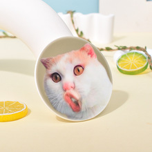 ���C���|���z����|�Ӷ������Ϳ��ȉ|pvcܛ�z���|����|������|