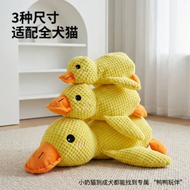 狗狗窝/笼/垫;猫猫窝/笼/垫;狗狗服装