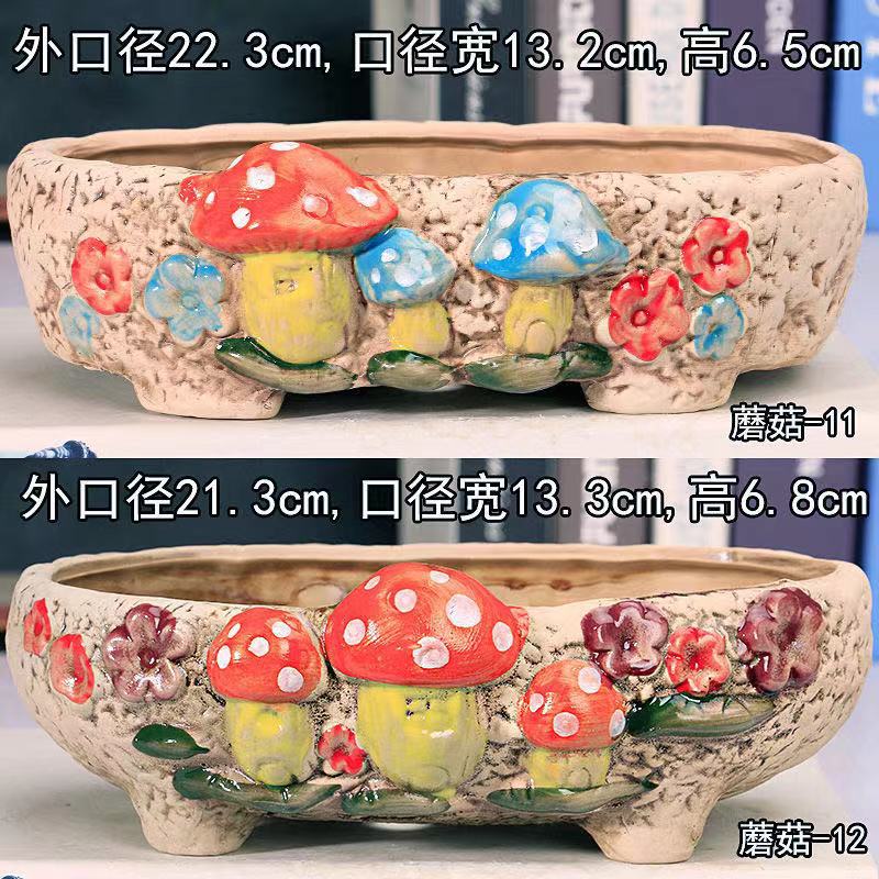 Set de dos piezas para la olla de hongos 11 - 12