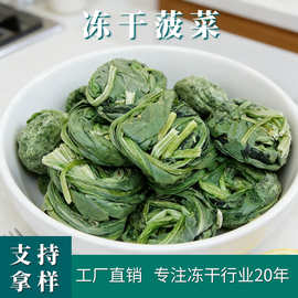 厂家现货直销FD冻干菠菜段 冻干菠菜整颗  散装脱水蔬菜批发工厂