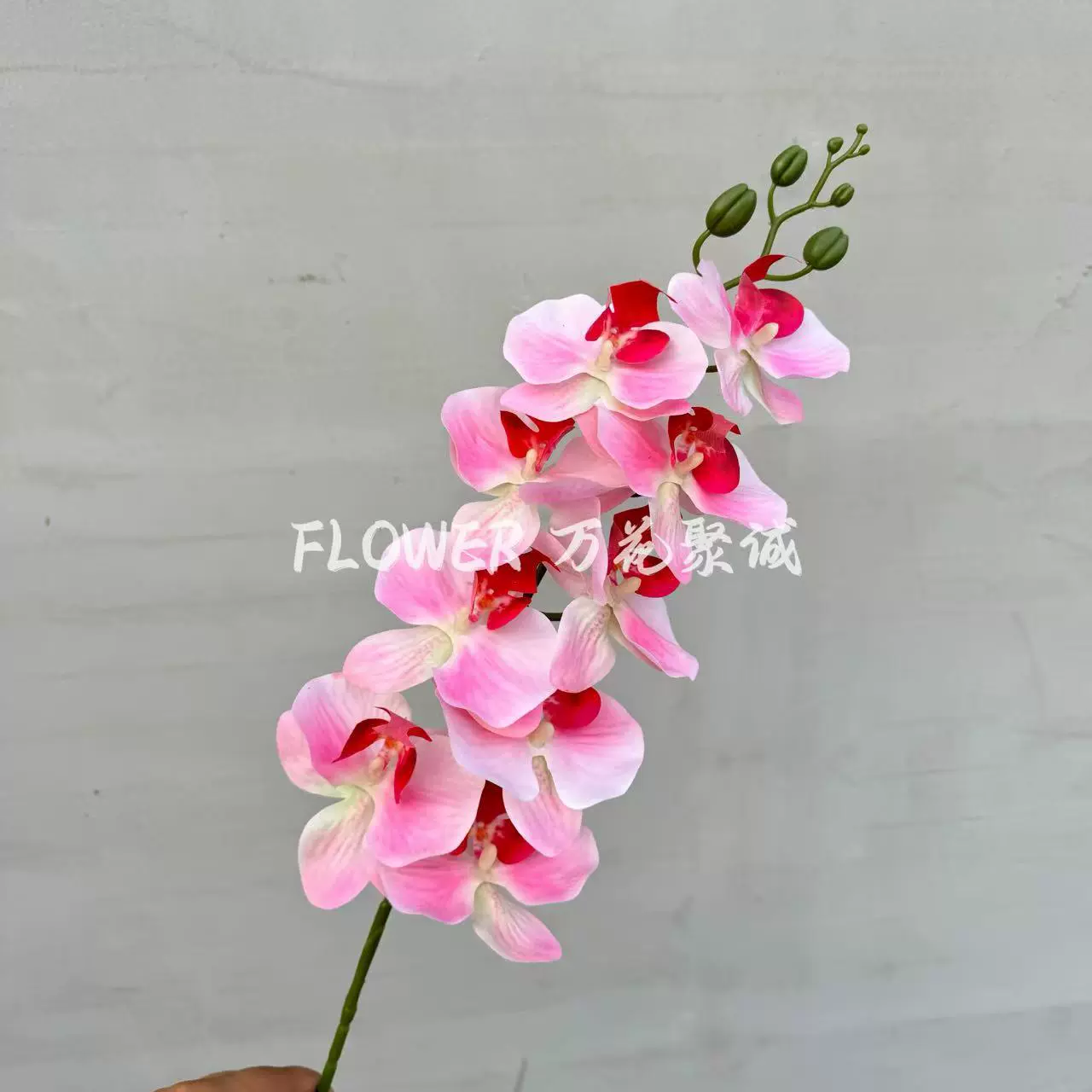 仿真花9头3D打印过浆手感蝴蝶兰婚庆家居插花布置样板房装饰假花