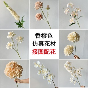 �㙉ɫ��c�����滨���l��Y����̨·���F�������b����컨ˇ�ٻ�