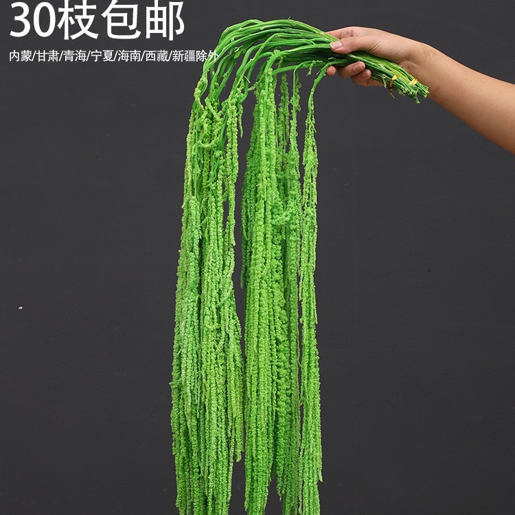 森系婚礼仿真花场景布置道具仿真绿植成品花单支花花艺婚庆装饰花|undefined