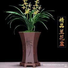 兰花专业盆精品紫砂兰花盆君子兰带托盘兰草盆景陶瓷盆栽室内客厅