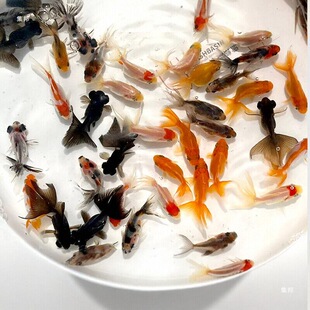 ���~���~�^�p�~С�͵�ˮ���B��ˮ�~������С���~�m���\�����B�ͻ�