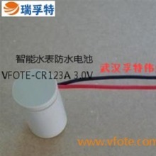 ˮ늚øVFOTE3.0Vi늳CR123A/CR17335