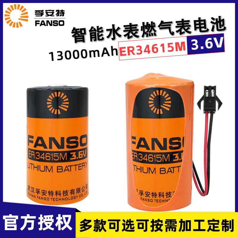 孚安特ER34615M智能水表流量计PLC物联网1号D型3.6V锂电池组LSH20