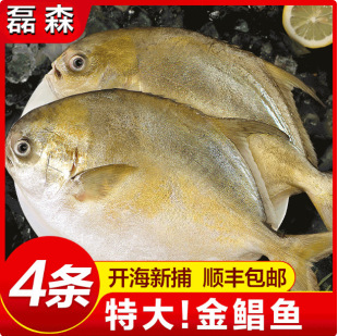 ��؛���K�~���r�R�~���~�K�~����~տ�����rˮ�a�r�����S���]