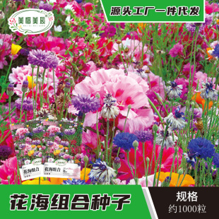 �ļ�Ұ���M�ϻ��N�����l�����l�廨�����^���ܷN�Ӱ��ղݸ� ɣ��