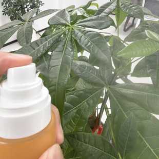 24/410 Fine Mist Nozzle, Hydrating Toner Spray Pump Head, Makeup Setting Spray Cosmetic Perfume Nozzle
