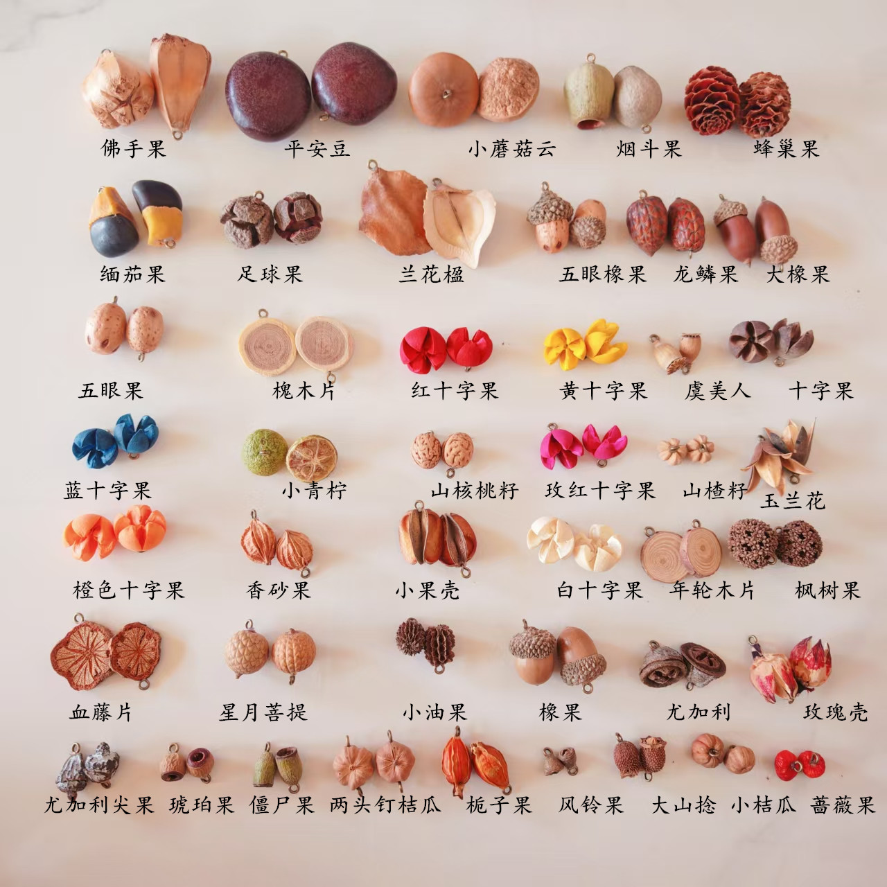 圣诞植物耳饰材料自然果壳森系复古拍照道具ins装饰品旅游景区饰