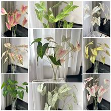 滨~߅~҃ȾGֲԿ͏dbcĿ羳