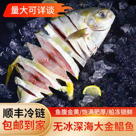 特大银鲳鱼新鲜冷冻深海舟山海鲜活东海冰鲜海捕白鲳鱼水产昌鱼
