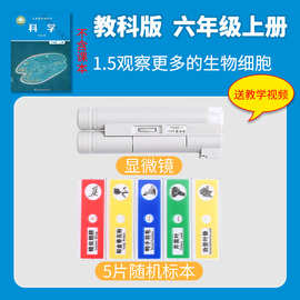 六年级上册观察更多的生物细胞小学科学实验材料包套装教材教科版