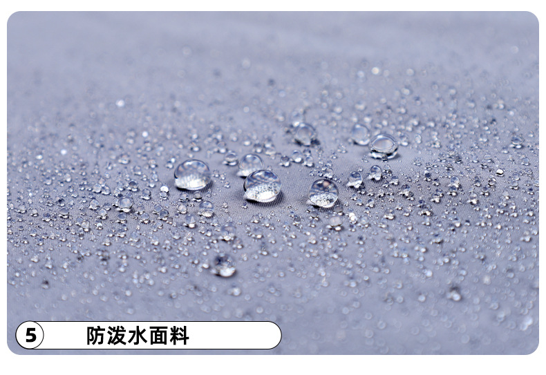 Adult skiper details-recovery _22.jpg