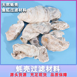 天然牡蛎壳蚝壳鱼缸过滤金鱼锦鲤鱼池过滤材料加钙调节PH硬度