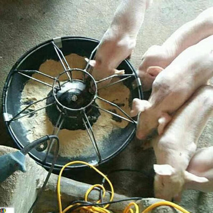 Cobertizo de cerdo espesado comedero de lechones comedero de alimentación de plástico comedero de cama de vivero comedero de alimentación de cerdo de plástico