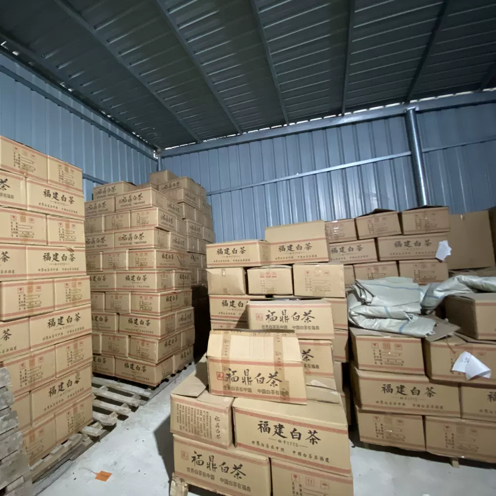 白茶全品类定制生产白茶饼白茶砖白牡丹寿眉白毫银针贡眉源头生产